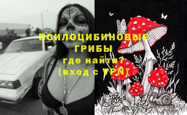 спиды Алзамай