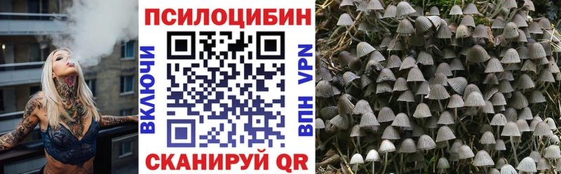 mega сайт  Балашов  Галлюциногенные грибы ЛСД 