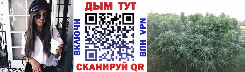 Шишки марихуана марихуана  хочу наркоту  Балашов 